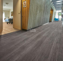Forbo Allura Click Pro 60375CL5 grey collage oak фото 2 | FLOORDEALER
